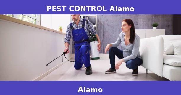 PEST CONTROL Alamo